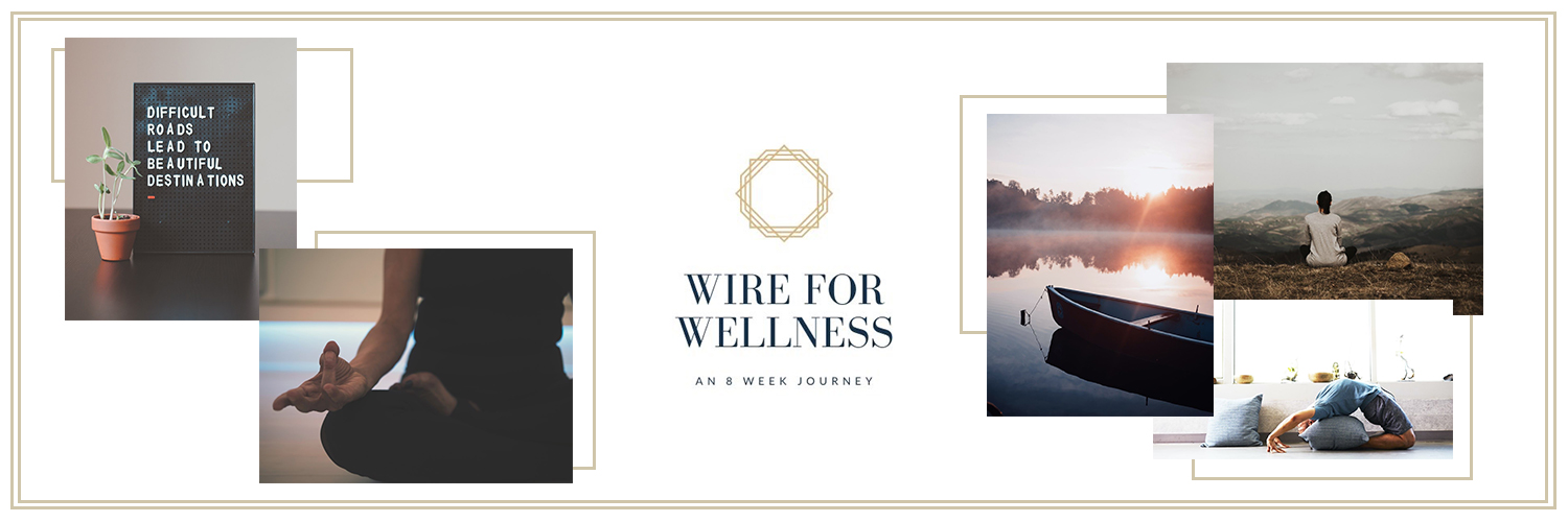 Amanda Votto - Wire to Wellness